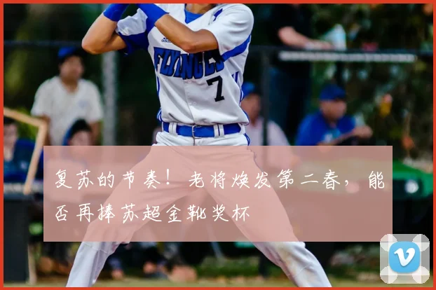 复苏的节奏！老将焕发第二春，能否再捧苏超金靴奖杯